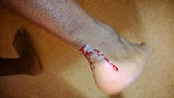 veiligheid veiligheid